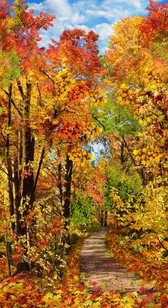 Fall Foliage panel - Multi - C8647 - 23.5"(60cm)