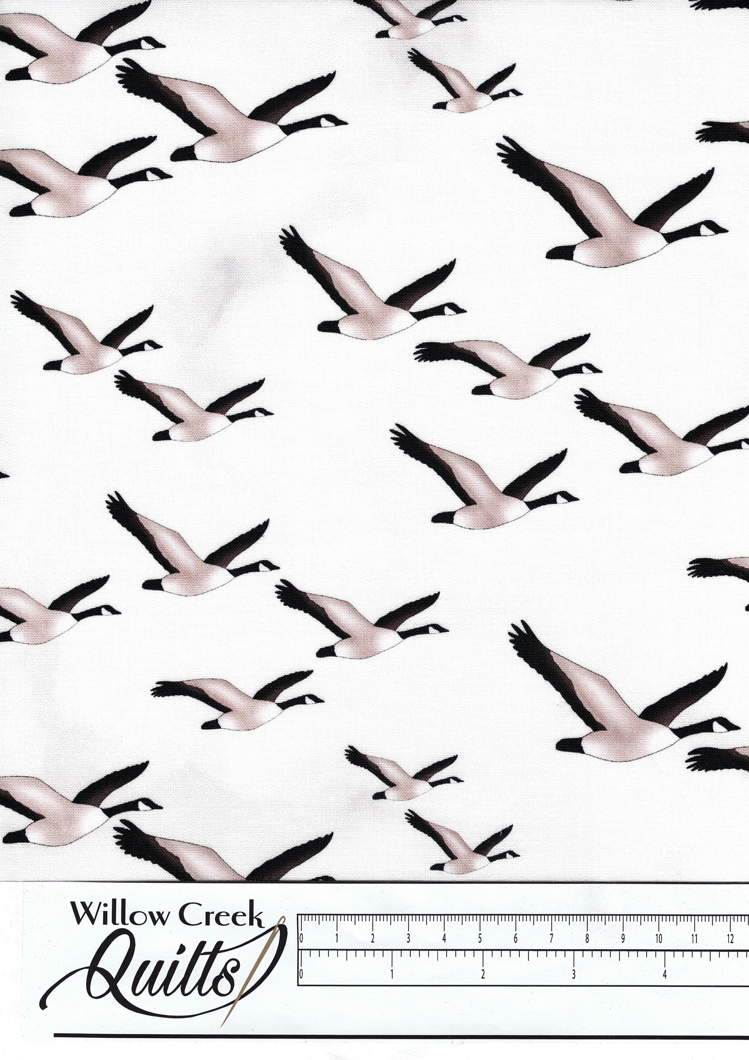 Glorious & Free - Canada Geese - White Gray - CASS-DC4014