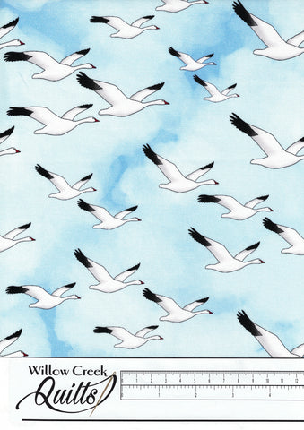 Glorious & Free - Snow Geese on White Blue - CASS-DC4015