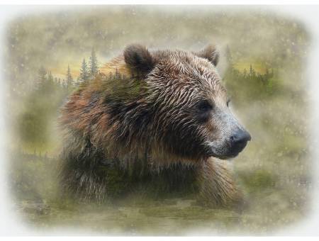 Call Of The Wild - Grizzly - 25063-260 - 32.5"(82.5cm)