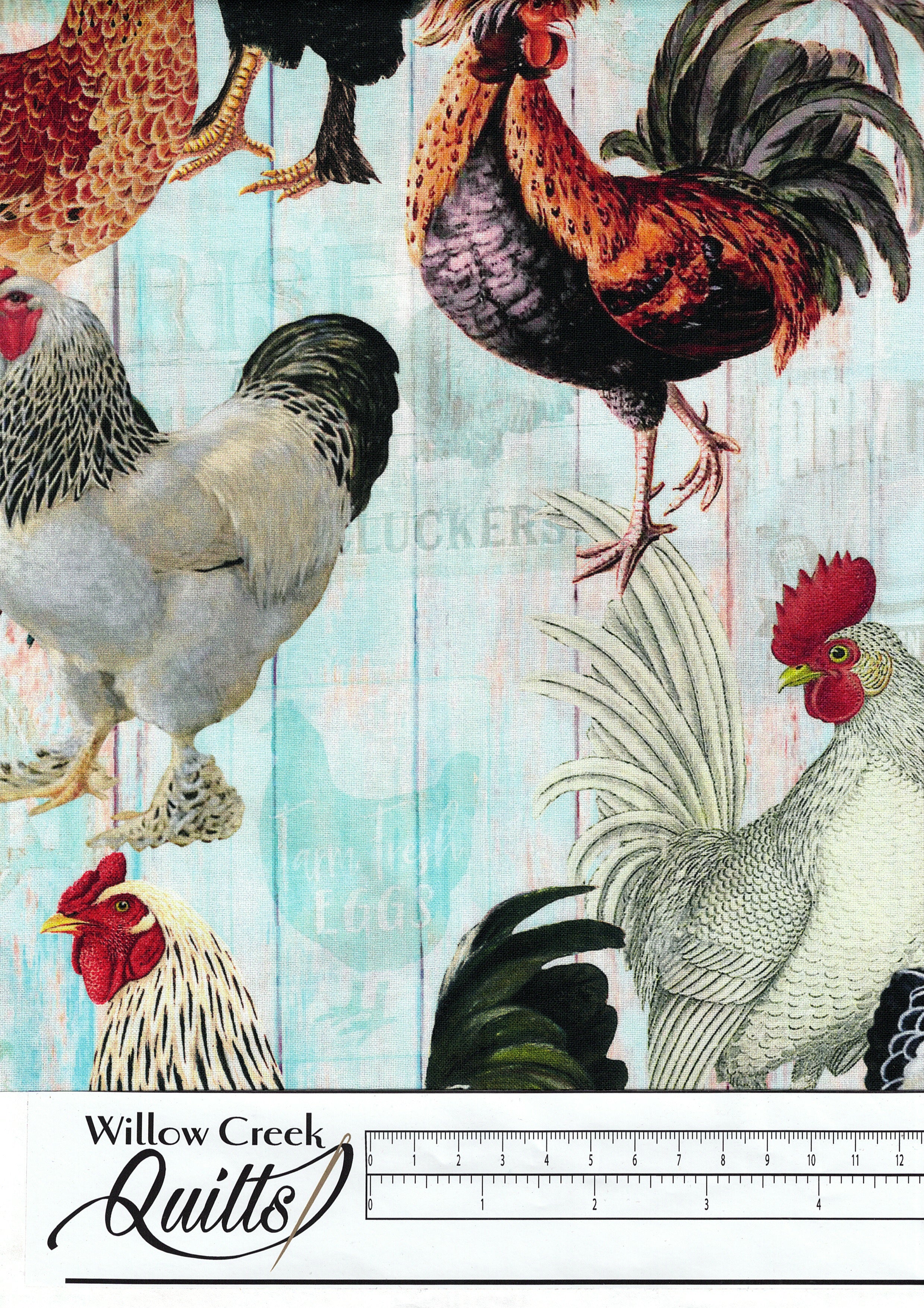 Farm Fresh Chickens on Faded Fence, Multi - CD1532